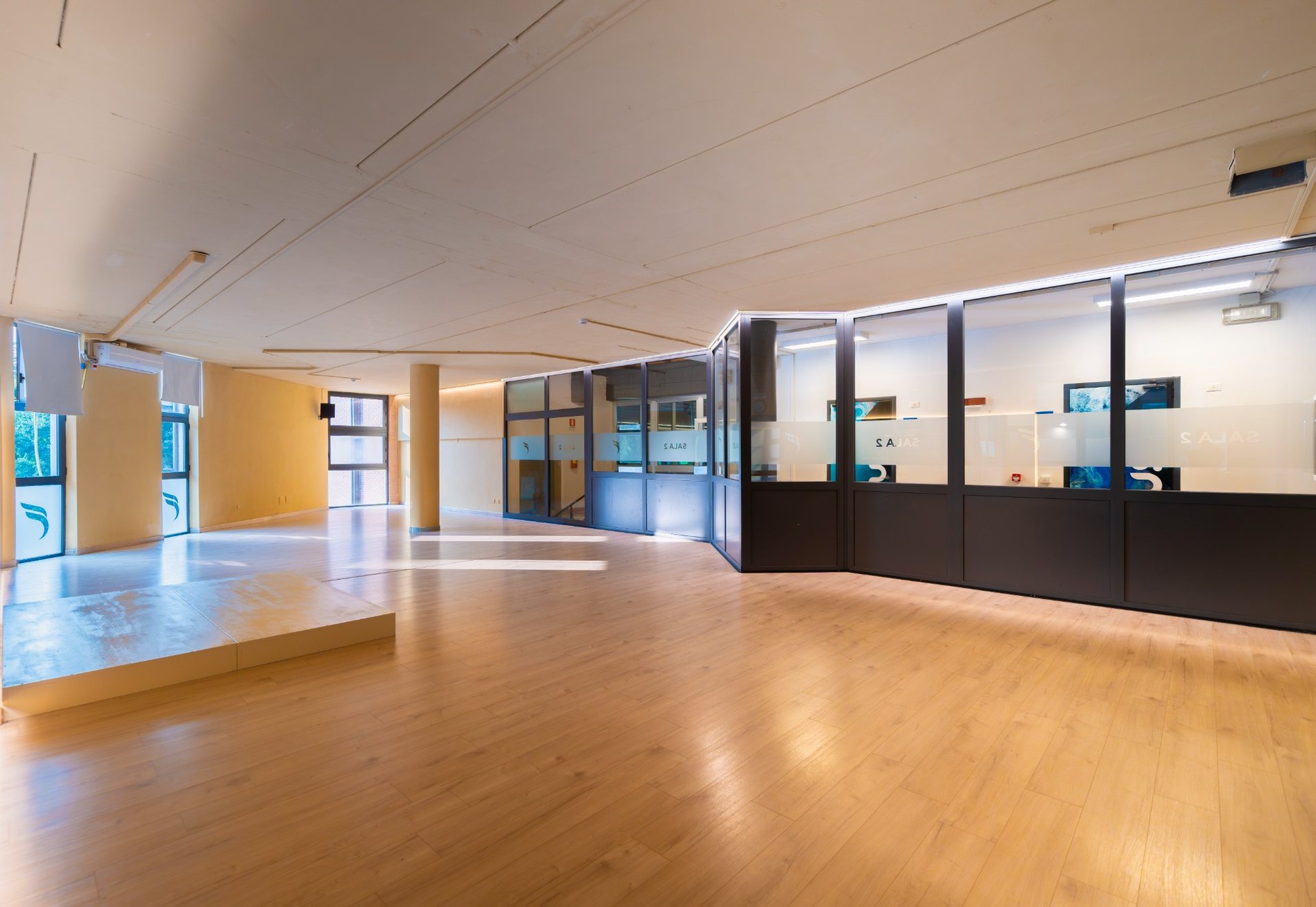 mantova_05_sala_diafana